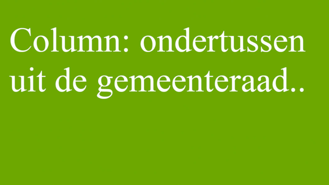 Column: ondertussen uit de gemeenteraad..