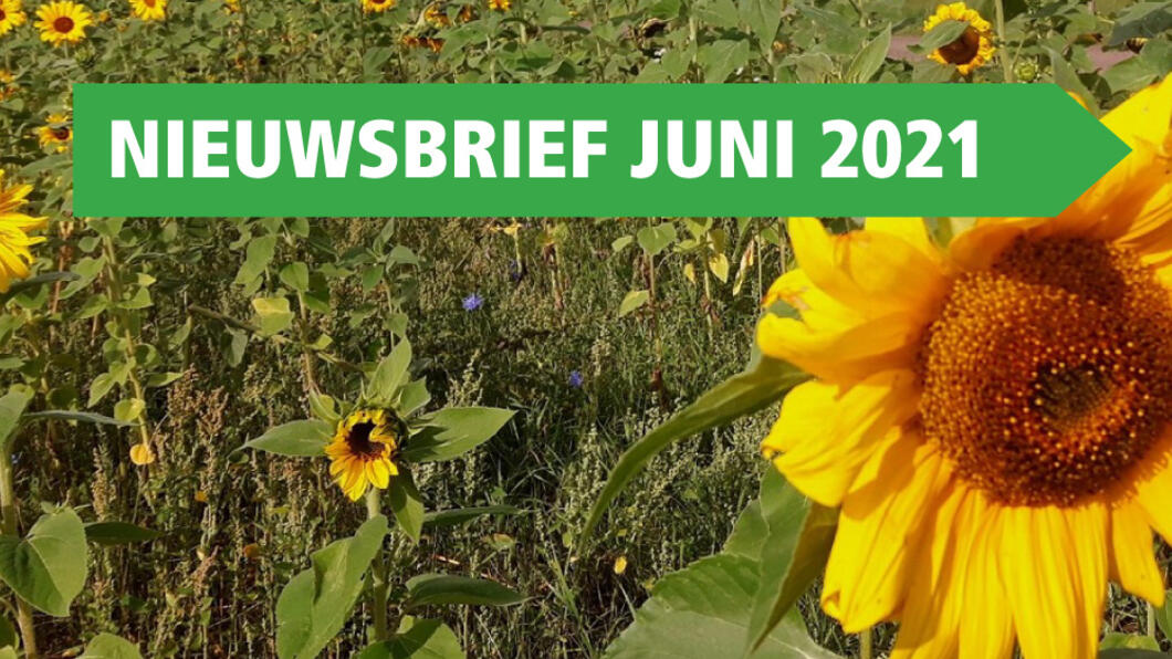 Nieuwsbrief juni 2021